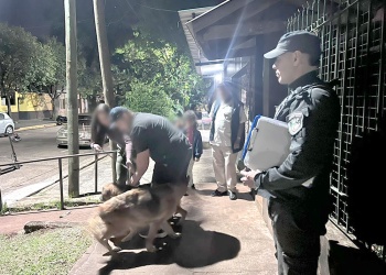 La Justicia interviene ante un grave caso de maltrato animal en Posadas