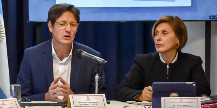 EXPOSICIÓN. Rojas Decut, titular del IPLyC, en la comisión de Presupuesto.