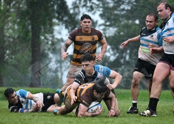 Rugby: una “Hormiga” sólida, efectiva y contundente