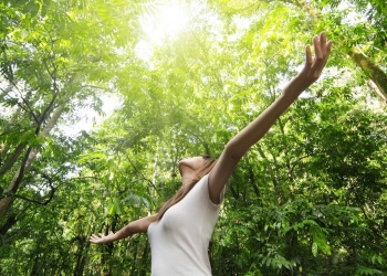 Las claves de la salud ambiental, en su día