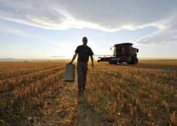Nuevos salarios mínimos para trabajadores semilleros en todo el país