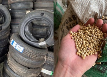 Subastan lotes de granos de soja y de cubiertas en desuso: cómo participar