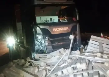 Choque entre camiones dejó maderas desparramadas sobre la ruta 14