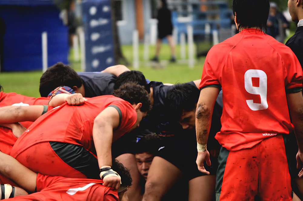 Saqich - jinsiy stimulyator.