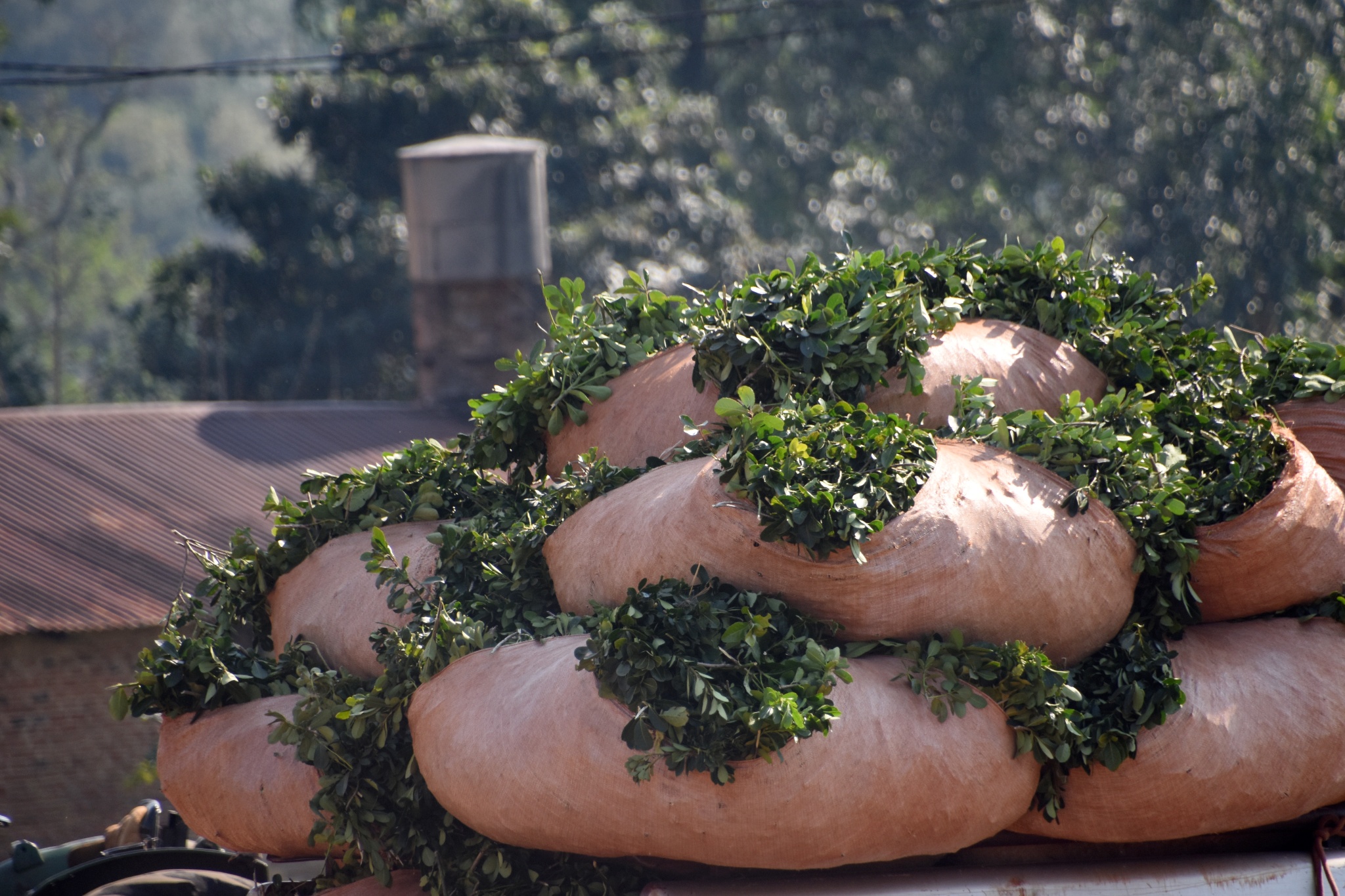 “Estamos viviendo el peor momento de los últimos 20 años, ni en los 90 estuvimos tan complicados”