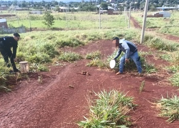 La Policía rescató una serpiente de gran tamaño en Itaembé Miní