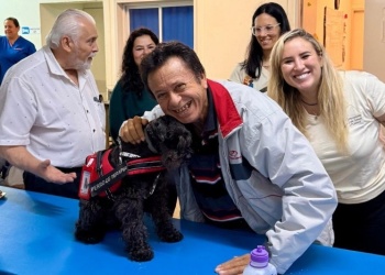 Terapia asistida con perros: “Es un recurso invaluable la plena conexión humano-animal”