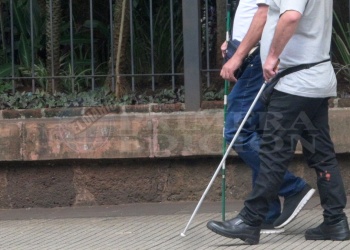 En Misiones “tenemos casi 10.000 personas con discapacidad visual”