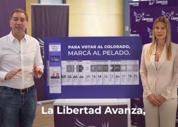 “Para votar al colorado, marcá al pelado”: el nuevo spot La Libertad Avanza