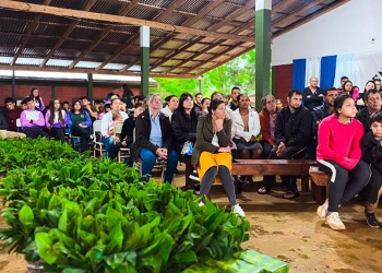 Misiones entregó más de 22 mil plantines y créditos a tasa cero para fortalecer chacras multiproductivas