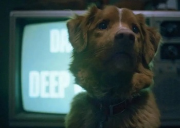 ¿Un perro nominado a un Oscar? “Good Boy” arrasa en el cine de terror