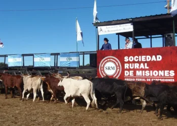 Productores repudian la decisión de Fachinal de arancelar remates