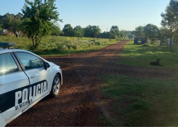 Un niño de 7 años fue atacado por dos perros pitbull en el barrio Santa Clara