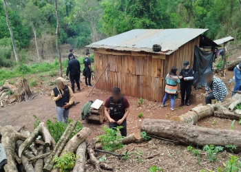 Lo allanaron por una causa de abuso: descubrieron un arsenal y plantaciones de marihuana
