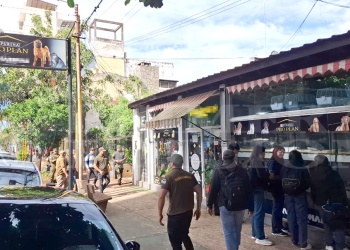 Allanan conocida veterinaria en Posadas por presunto comercio ilegal de fauna silvestre