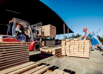 “Los aserraderos están operando por debajo del 60% de su capacidad”
