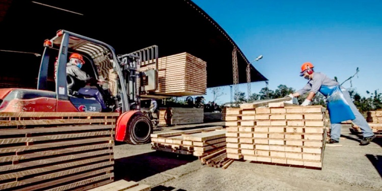 EFICIENCIA. El sector pide operar logísticamente en el Puerto de Eldorado para agilizar tiempos de exportación y pagos.