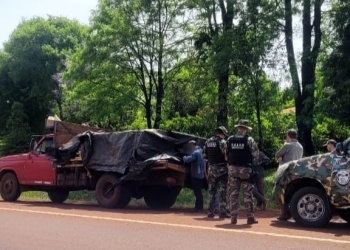 Secuestraron madera nativa y constataron tala ilegal en el Parque Piñalito Sur