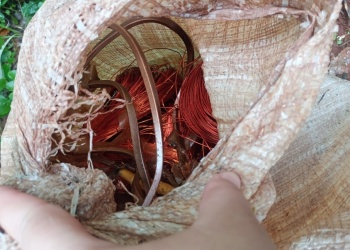 Corpus: recuperaron cobre y bronce que un sospechoso descartó en la ruta