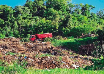 Comunidad mbya denuncia tala y avance territorial de maquinarias