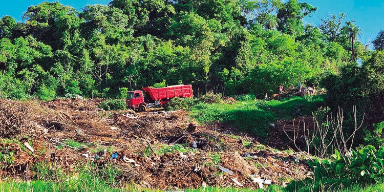 DAÑO AMBIENTAL. Además de daños en el monte nativo, se generó un basural informal.