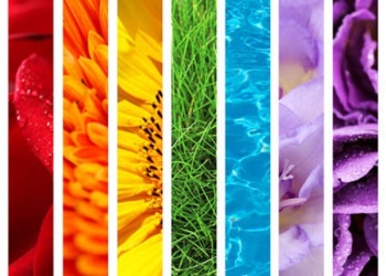 Cromoterapia Color: puente entre el ser humano y la Tierra