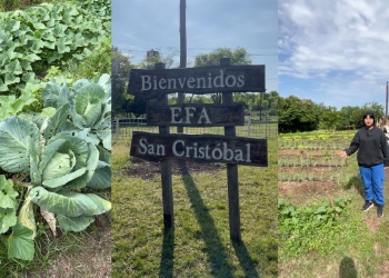 Concurso fotográfico para jóvenes invita a visibilizar a la mujer rural