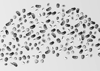 El Congreso que viene