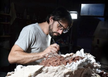 Hallaron restos fósiles de un dinosaurio que vivió hace más de 230 millones de años