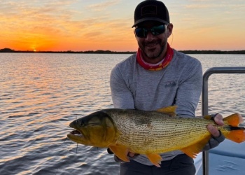Pesca: Un veloz dorado