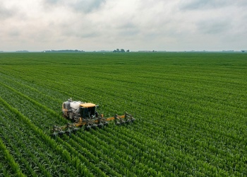 Evaluación de la cobertura vegetal con datos satelitales para supervisar grandes áreas agrícolas