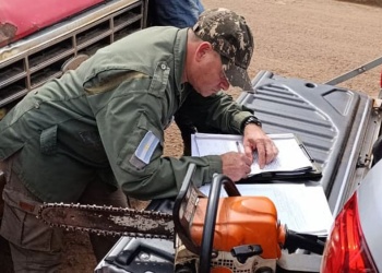 Ecología desmintió que operativo en el Parque Piñalito fuera por tala ilegal reciente