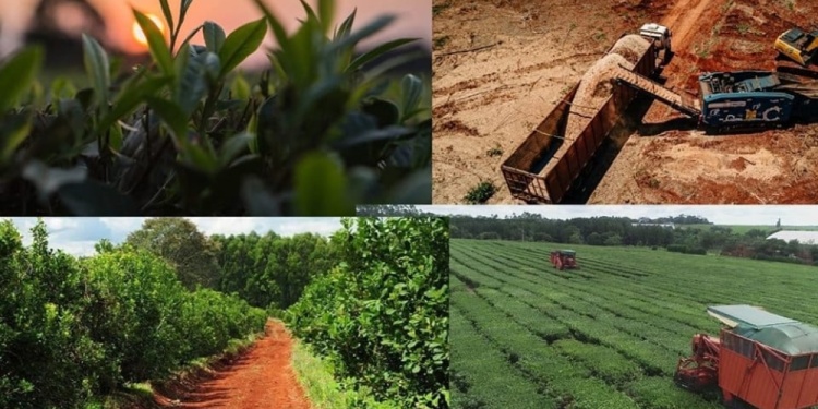 EN CRISIS. Todas las producciones regionales del país vienen atravesando un deterioro en rentabilidad y ventas.