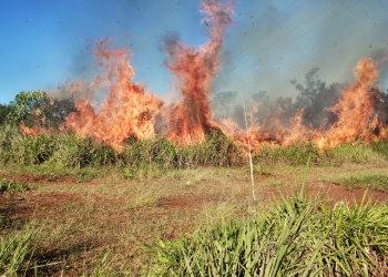 Controlaron un incendio de grandes dimensiones en la zona del peaje de Santa Ana