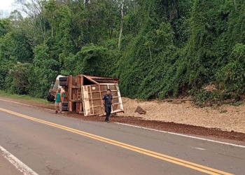Un camión despistó sobre Ruta 12 en Puerto Piray