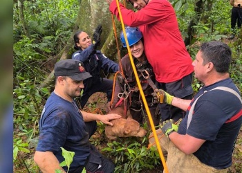 Rescataron a un joven y a su perro que cayeron a un pozo de 15 metros