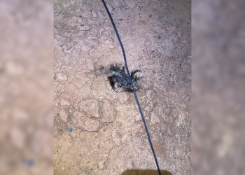 Explosión en la línea de alta tensión dejó sin energía a toda la ciudad de Puerto Iguazú