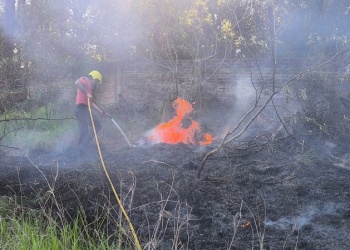 Sofocan un incendio de malezas a la vera de la ruta Nacional 12 en Santa Ana