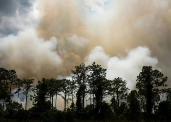 El dióxido de carbono en la atmósfera aumentó a un ritmo récord en 2024