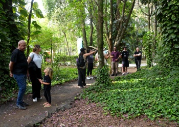 Posadas diseña el futuro  de su “pulmón verde”