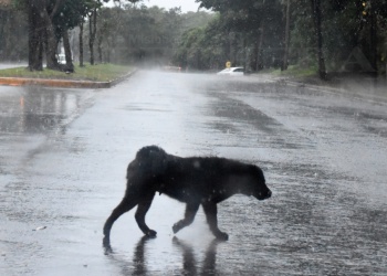 Septiembre se despidió con 135%  más de precipitaciones previstas