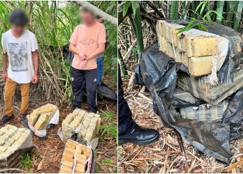 Incautan cargamento de marihuana valuado en más de 33 millones