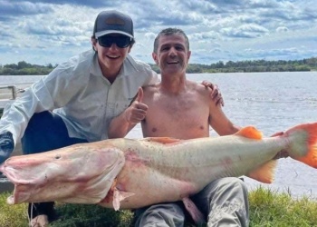 Capturan surubí albino cerca de la represa de Salto Grande