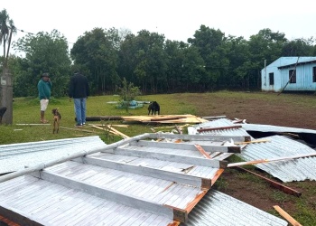 Temporal en Misiones: el viento voló el techo de una escuela y cayeron árboles sobre la ruta