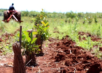 Nuevos salarios mínimos rurales: así quedaron los valores