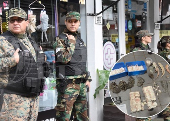 Presunto maltrato y tráfico animal: los ejemplares seguirán en la veterinaria