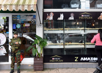 Ecología suspendió los permisos de manejo de fauna silvestre al dueño de veterinaria allanada en Posadas