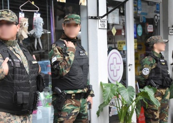 Presunto comercio ilegal de fauna silvestre: habría más de 100 animales en veterinaria allanada