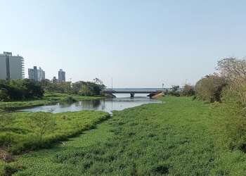 Wiii Ki Insectos!:  el proyecto que registra la vida  en la Reserva Itá