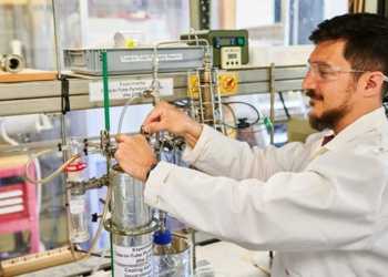 Transforman restos de yerba en bioaceite que reemplaza a los derivados del petróleo